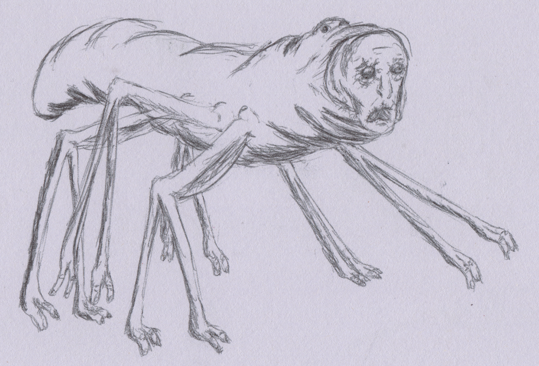Sleep - Pencil